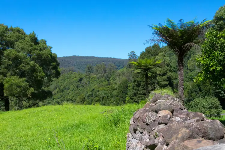 Second view of Homely rural property listing, Lot 302 Priddles Lane, Berry NSW 2535