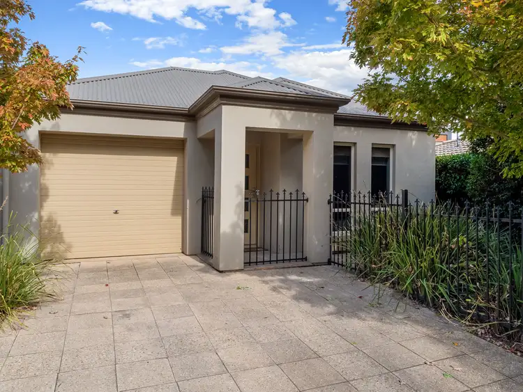 8 Waltham Street, Ashford SA 5035