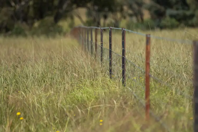 Second view of Homely rural property listing, 755 Junction Road, Tenterden NSW 2365