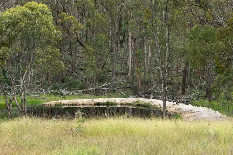 Seventh view of Homely rural property listing, 755 Junction Road, Tenterden NSW 2365