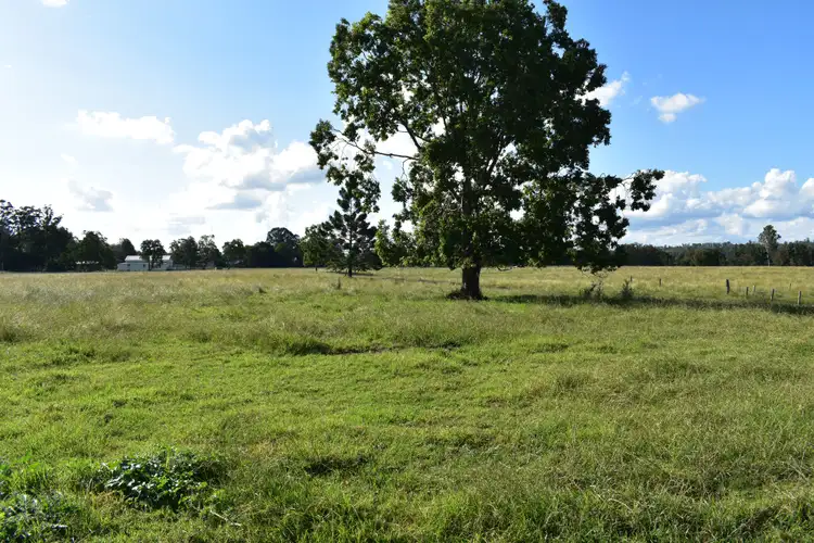 Seventh view of Homely rural property listing, 680 McDonalds Bridge Road, Dyraaba NSW 2470