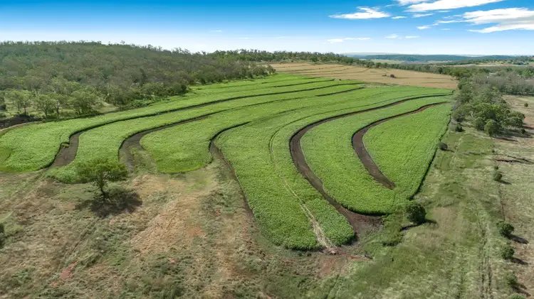 Third view of Homely rural property listing, 0 Fullers Road, Southbrook QLD 4363