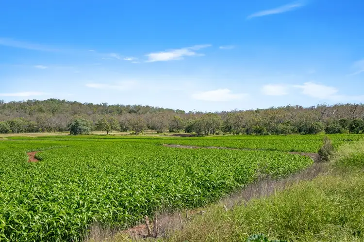 Fifth view of Homely rural property listing, 0 Fullers Road, Southbrook QLD 4363