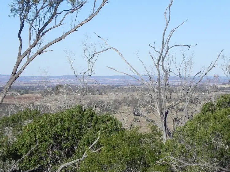 Sixth view of Homely rural property listing, 0 Fullers Road, Southbrook QLD 4363
