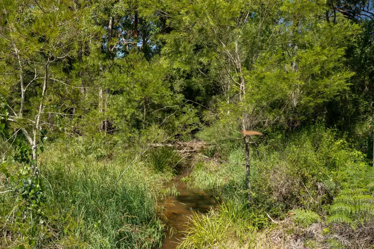 Fourth view of Homely rural property listing, Lot 1 Prices Creek Road, Gloucester NSW 2422