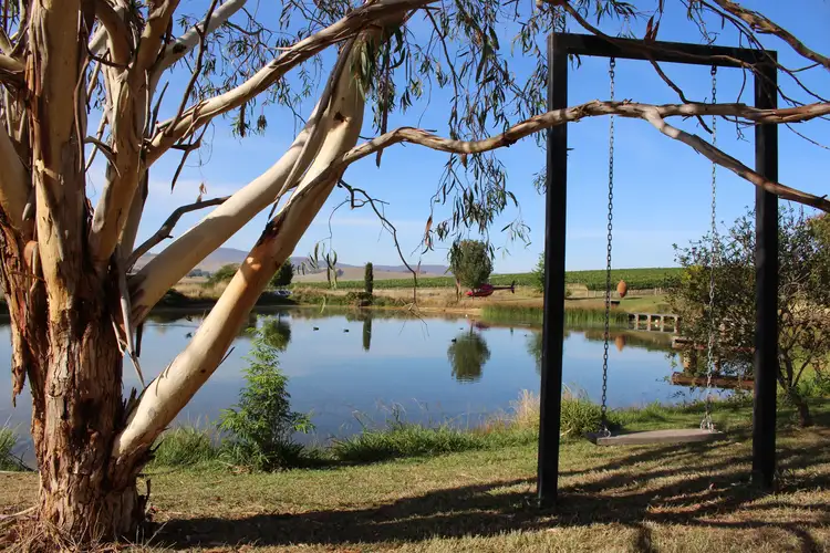 Fifth view of Homely rural property listing, 3446 Jingellic Road, Tumbarumba NSW 2653