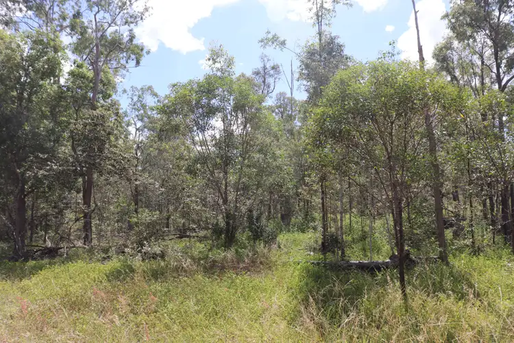 Seventh view of Homely rural property listing, Lot 104 Cania Road, Monto QLD 4630