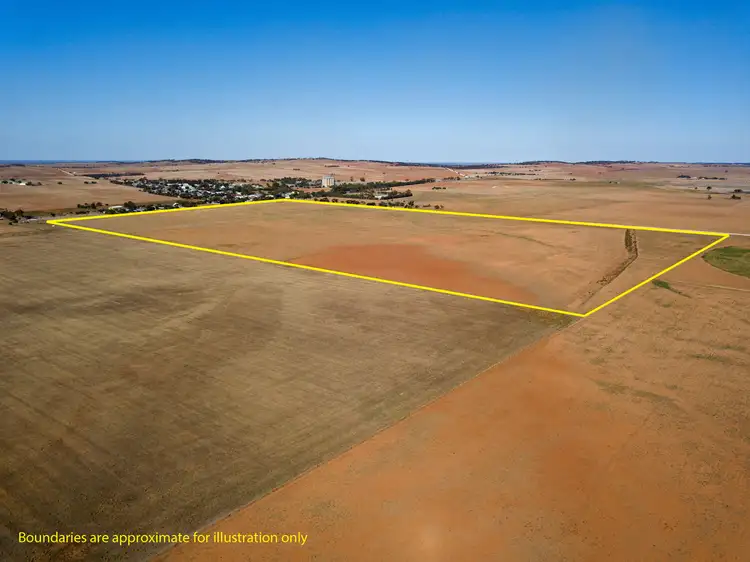 Second view of Homely rural property listing, 87 Hills Road, Robertstown SA 5381