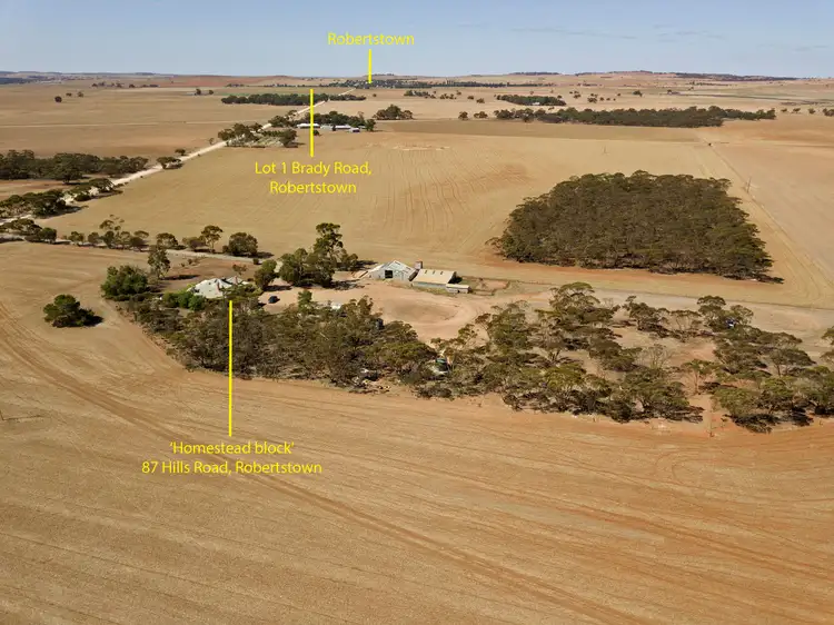 Fourth view of Homely rural property listing, 87 Hills Road, Robertstown SA 5381