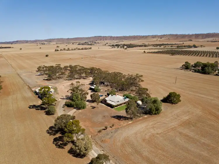 Fifth view of Homely rural property listing, 87 Hills Road, Robertstown SA 5381