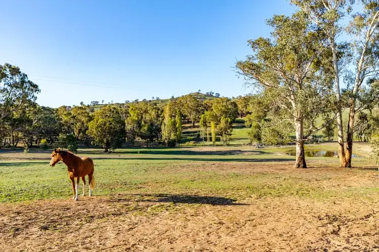 Second view of Homely house listing, 101 Cattle Street, Binalong NSW 2584