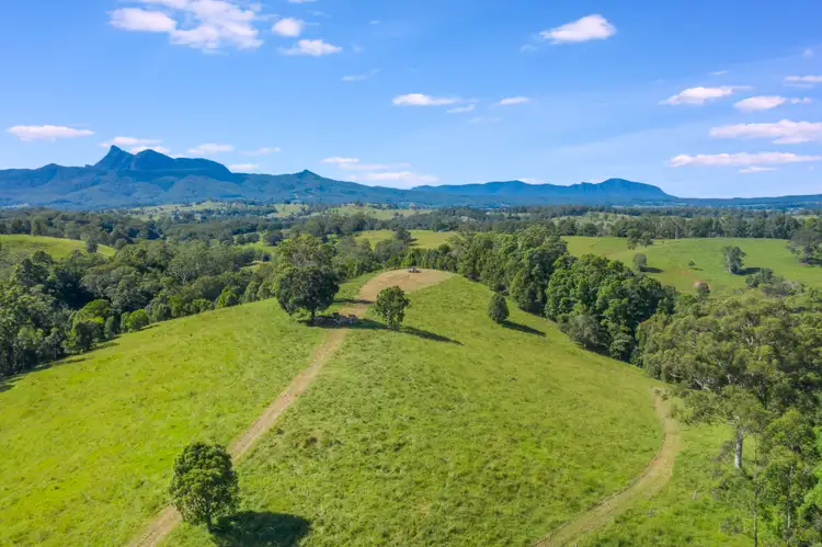 Second view of Homely rural property listing, 159 Stoddarts Road, Tyalgum NSW 2484