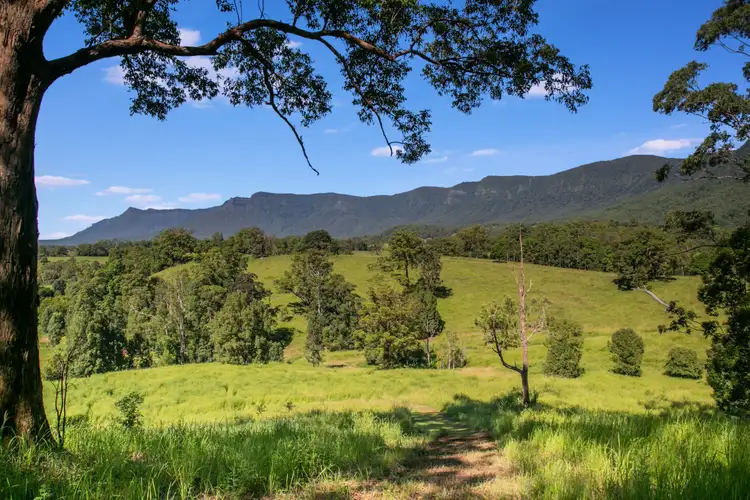Third view of Homely rural property listing, 159 Stoddarts Road, Tyalgum NSW 2484