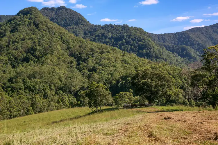 Fourth view of Homely rural property listing, 159 Stoddarts Road, Tyalgum NSW 2484
