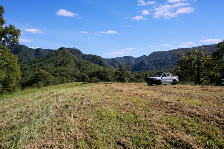 Fifth view of Homely rural property listing, 159 Stoddarts Road, Tyalgum NSW 2484