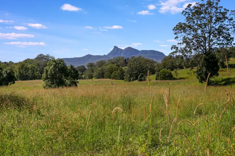 Sixth view of Homely rural property listing, 159 Stoddarts Road, Tyalgum NSW 2484