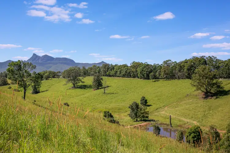 Seventh view of Homely rural property listing, 159 Stoddarts Road, Tyalgum NSW 2484