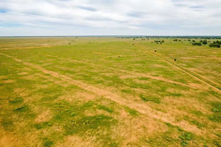 Third view of Homely rural property listing, 3297 Roto Road, Hillston NSW 2675