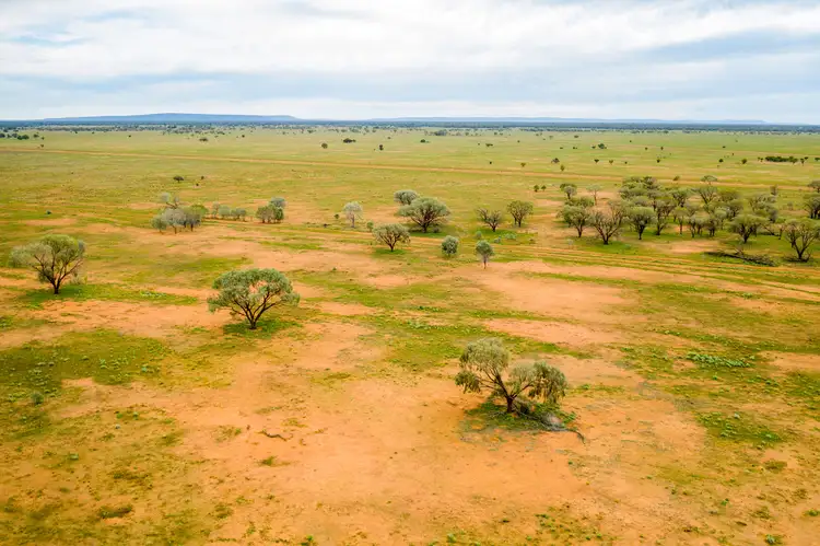 Fourth view of Homely rural property listing, 3297 Roto Road, Hillston NSW 2675