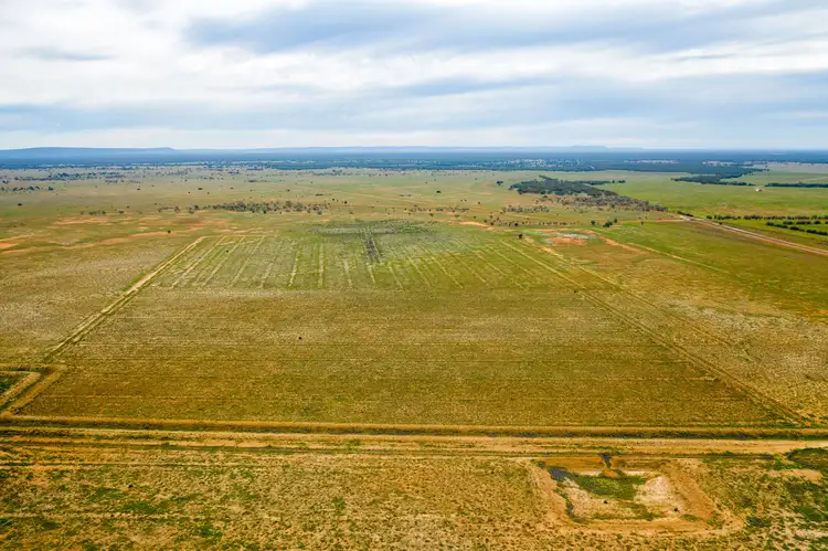 Fifth view of Homely rural property listing, 3297 Roto Road, Hillston NSW 2675