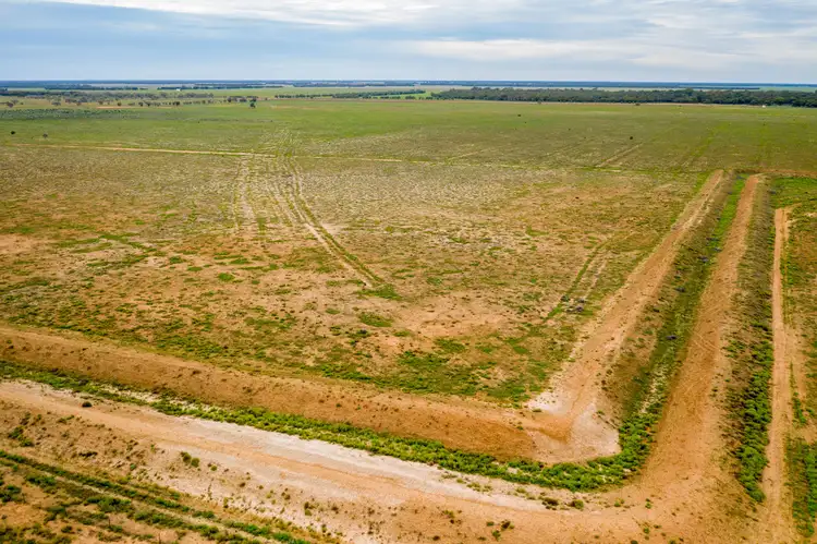Sixth view of Homely rural property listing, 3297 Roto Road, Hillston NSW 2675