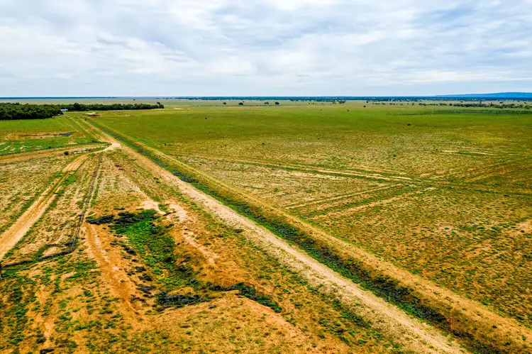 Seventh view of Homely rural property listing, 3297 Roto Road, Hillston NSW 2675