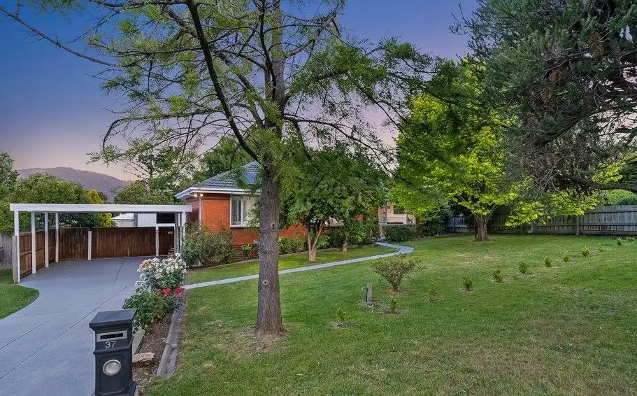 Main view of Homely house listing, 37 Army Road, Boronia VIC 3155