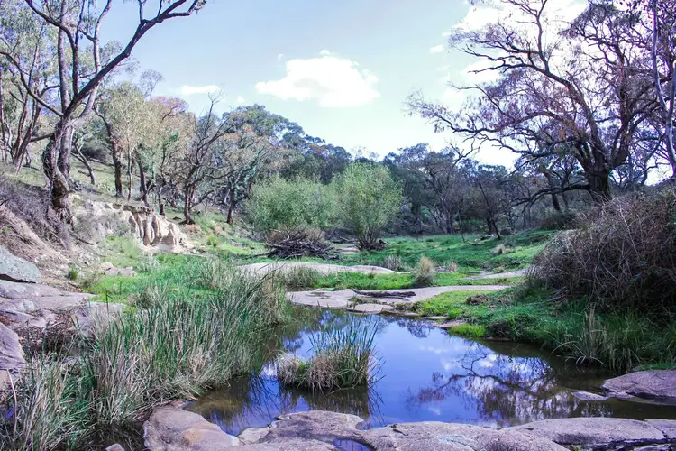 Fifth view of Homely rural property listing, 172 Mersing Road, Glanmire NSW 2795
