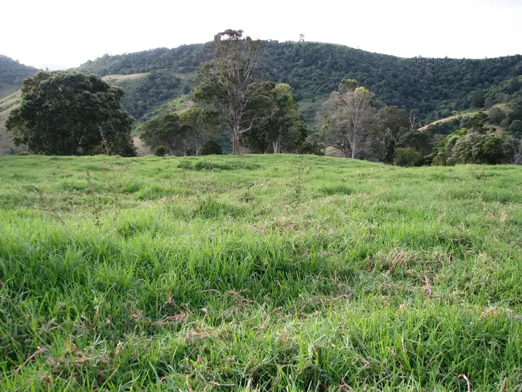 Fourth view of Homely rural property listing, 0 Koplick Road, Running Creek QLD 4287