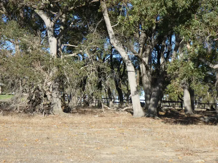 Sixth view of Homely land listing, 8/215 Porongurup Road, Mount Barker WA 6324