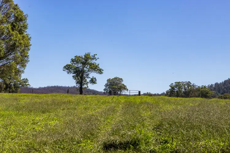 Fourth view of Homely rural property listing, 519 Pine Brush Road, Glen William NSW 2321