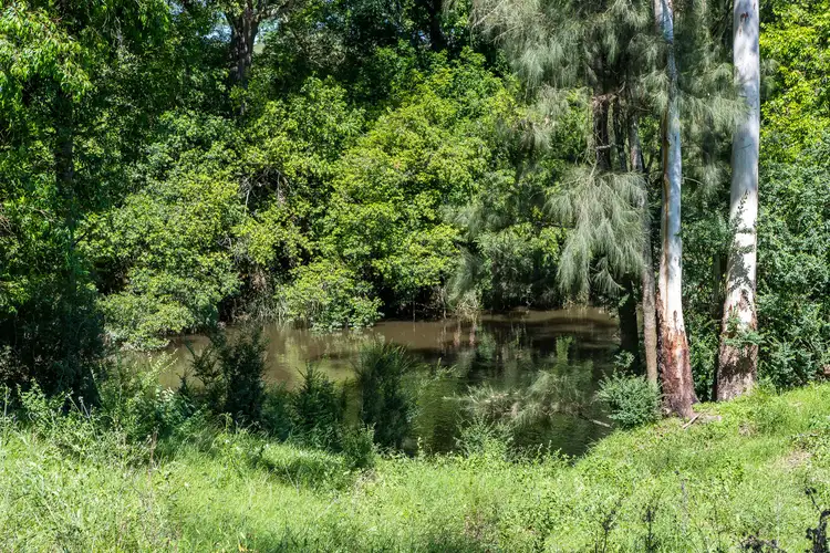 Sixth view of Homely rural property listing, 519 Pine Brush Road, Glen William NSW 2321