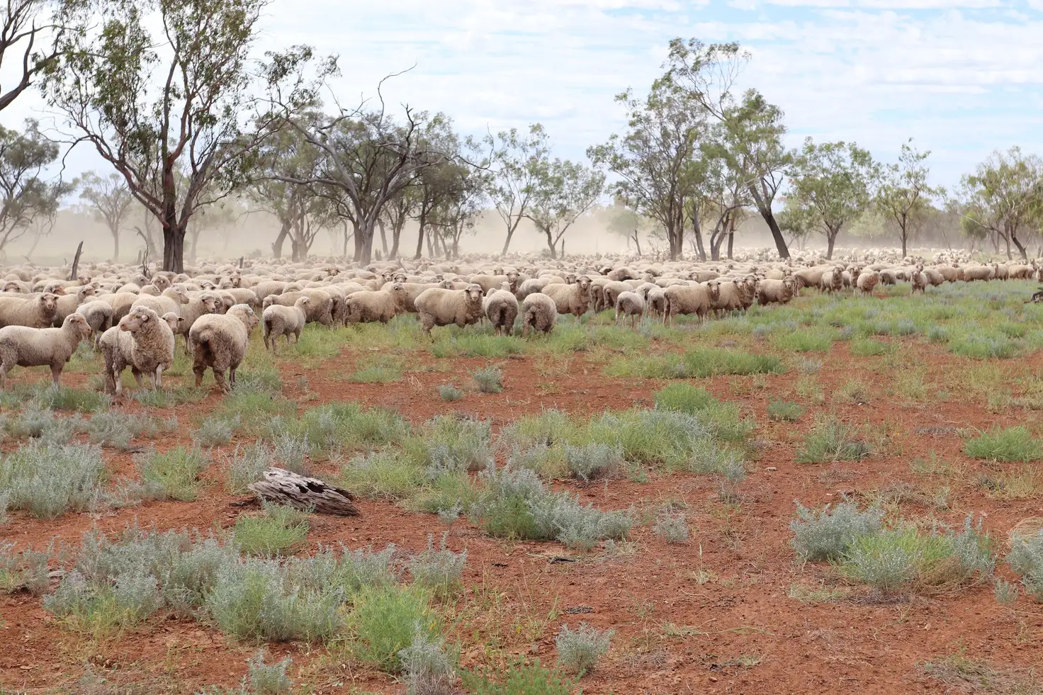Main view of Homely rural property listing, 0 Balonne Highway, Cunnamulla QLD 4490
