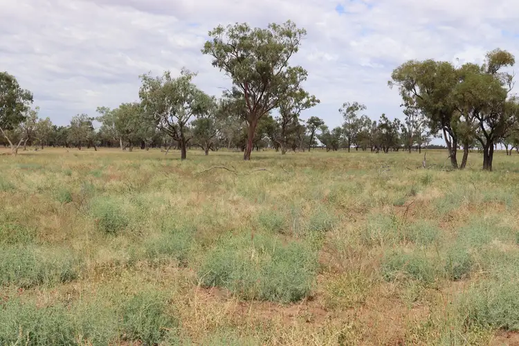Fourth view of Homely rural property listing, 0 Balonne Highway, Cunnamulla QLD 4490