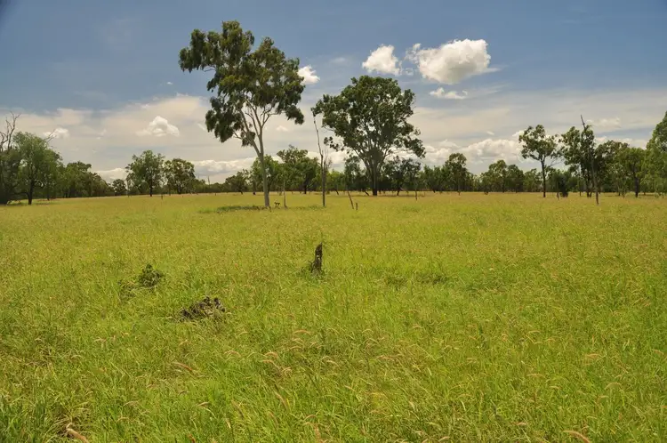 Seventh view of Homely rural property listing, "Yatton" May Downs Road, Clarke Creek QLD 4705