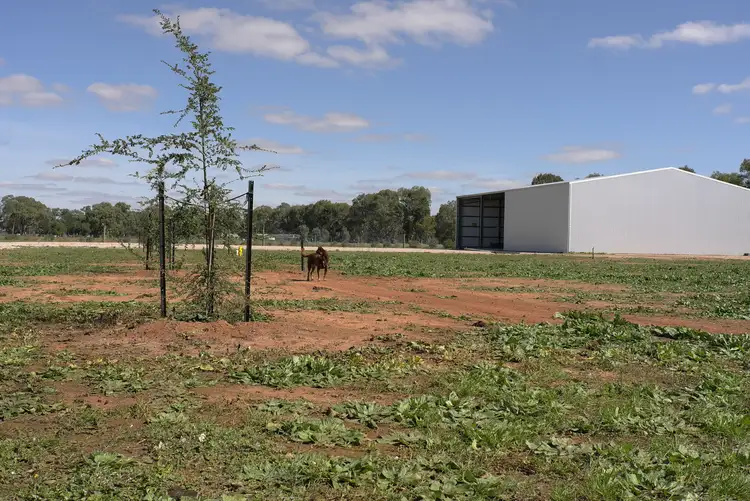 Sixth view of Homely rural property listing, Lot 1 Short Street, Darlington Point NSW 2706