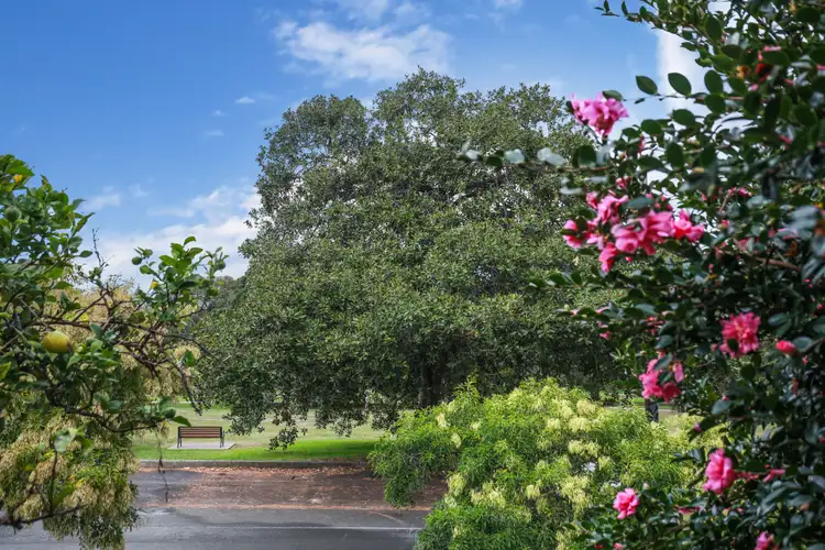 Second view of Homely house listing, 51 Llewellyn Street, Marrickville NSW 2204