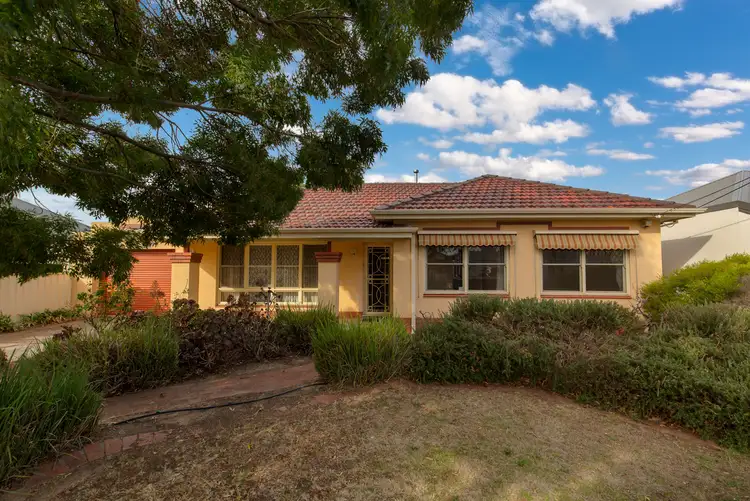 13 Filmer Avenue, Glengowrie SA 5044