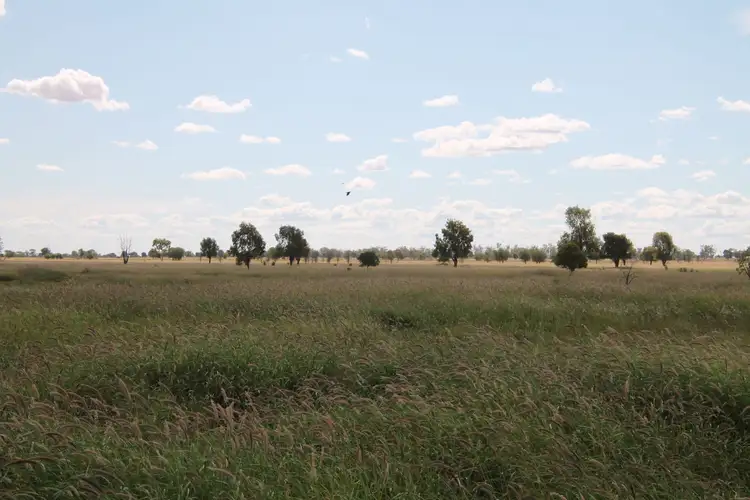 Main view of Homely rural property listing, 378 WEENGALLON - DAYMAR Road, Weengallon QLD 4497