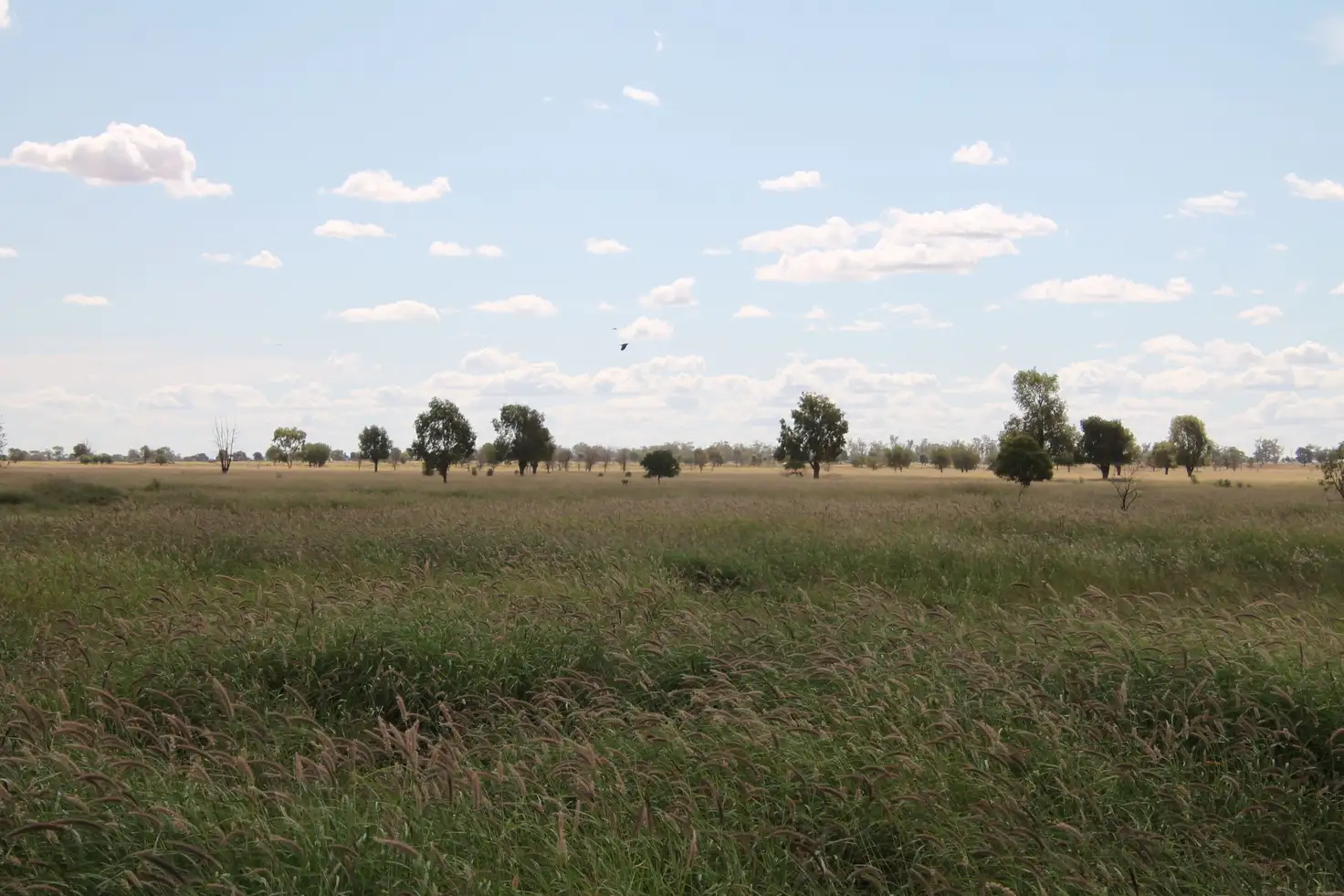 Main view of Homely rural property listing, 378 WEENGALLON - DAYMAR Road, Weengallon QLD 4497