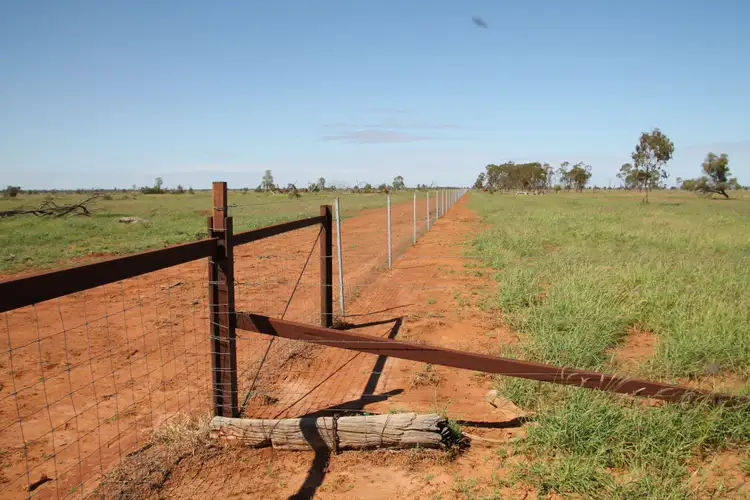 Sixth view of Homely rural property listing, 378 WEENGALLON - DAYMAR Road, Weengallon QLD 4497