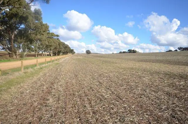 "Huxley's'" Curio Highway, Marrabel SA 5413