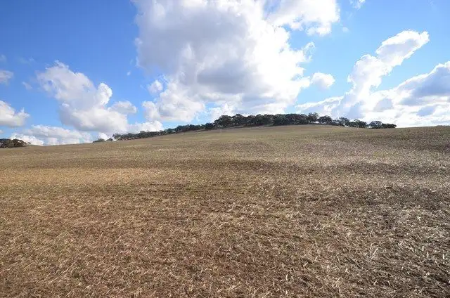 Second view of Homely rural property listing, "Huxley's'" Curio Highway, Marrabel SA 5413