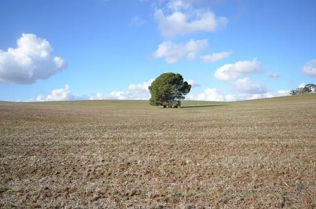 Fourth view of Homely rural property listing, "Huxley's'" Curio Highway, Marrabel SA 5413
