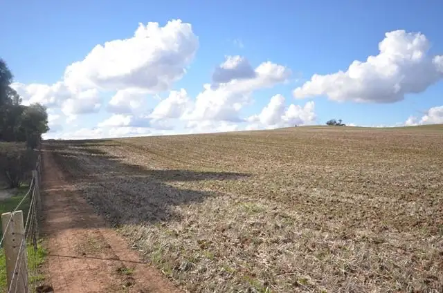 Fifth view of Homely rural property listing, "Huxley's'" Curio Highway, Marrabel SA 5413