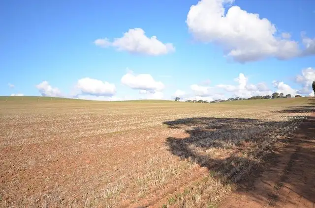 Sixth view of Homely rural property listing, "Huxley's'" Curio Highway, Marrabel SA 5413