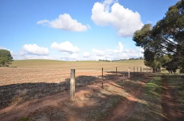 Seventh view of Homely rural property listing, "Huxley's'" Curio Highway, Marrabel SA 5413