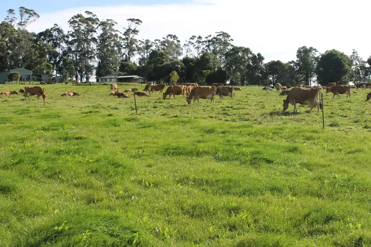 Second view of Homely rural property listing, 1336 Bloomfield Road, Crossover VIC 3821