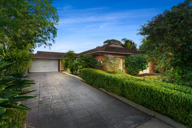 17 Wade Court, Langwarrin VIC 3910