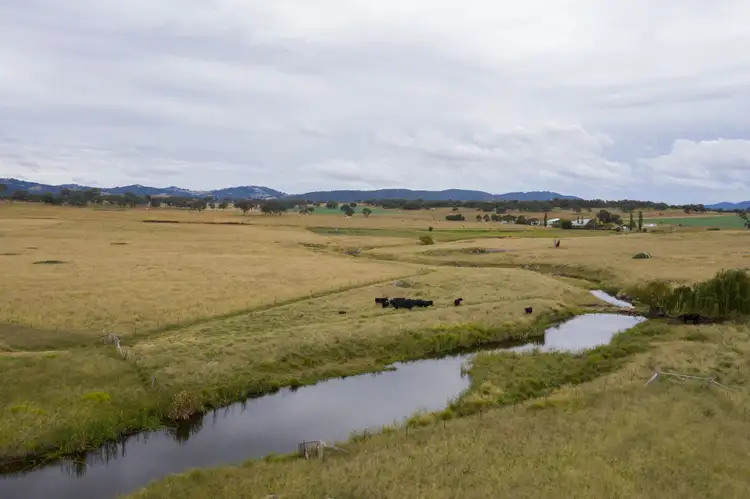 Second view of Homely rural property listing, 1158 Bruxner Highway, Tenterfield NSW 2372